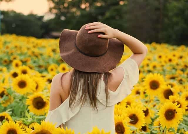  en kvinna går genom ett fält med solrosor
