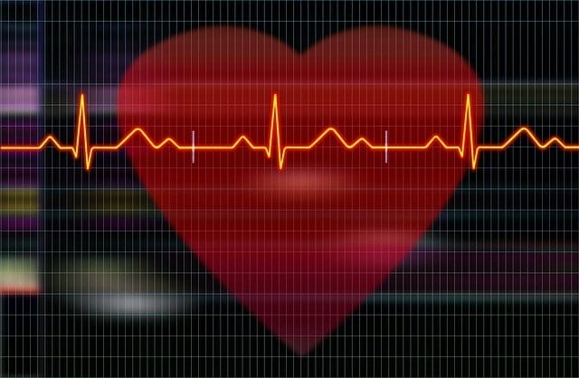  Grafisk bild av hjärtat och elektrokardiografiska registreringar.
